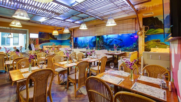 Логотип Кон-Тики