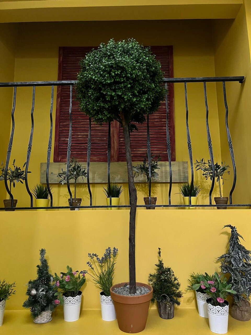 Зал — Casa di Famiglia