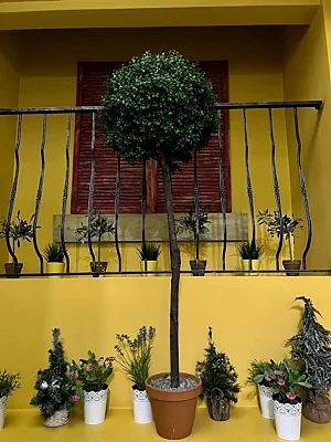 Casa di Famiglia, Зал — фото