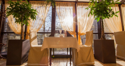 Зимний сад — интерьер зала