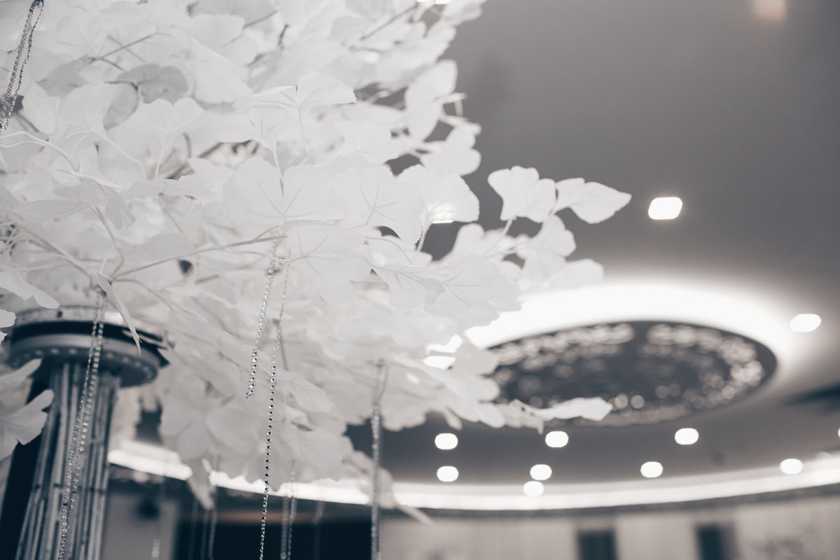 Зал Меренге — фото 9