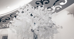 Зал Меренге — фото 5