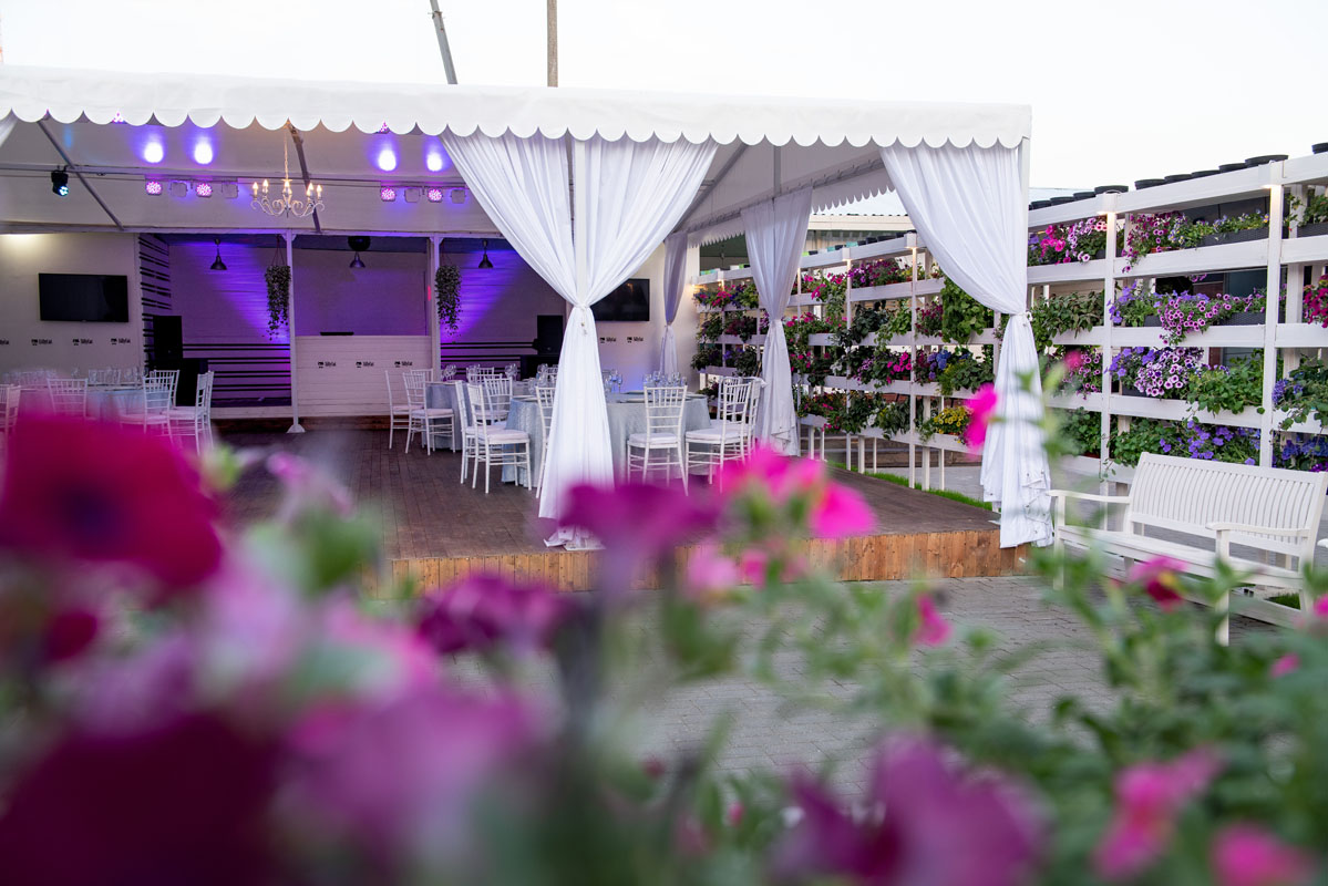 Летний банкетный зал (шатер) — фото 7