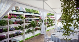 Летний банкетный зал (шатер) — фото 6