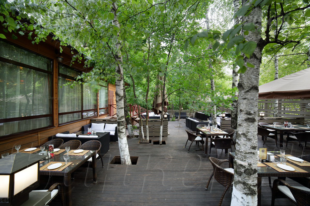 Веранда Веранда — фото 7