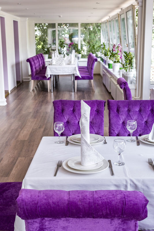 Зимний сад — фото 9