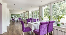 Зимний сад — подробнее о зале