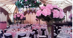 Шатер Шатер — фото 5