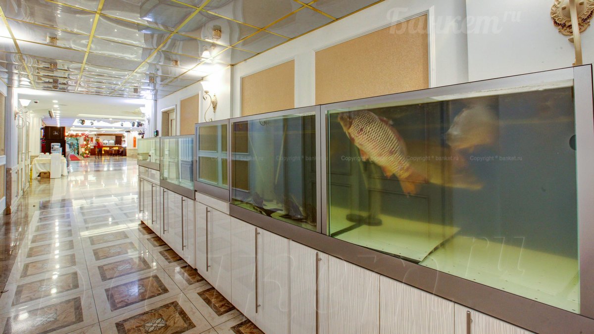 Большой Зал — фото 13