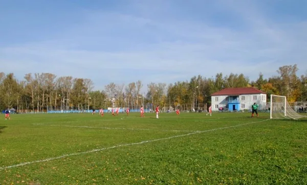 Поляна — интерьер зала