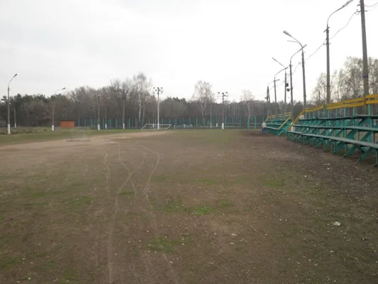 Поляна Поляна — фото 4