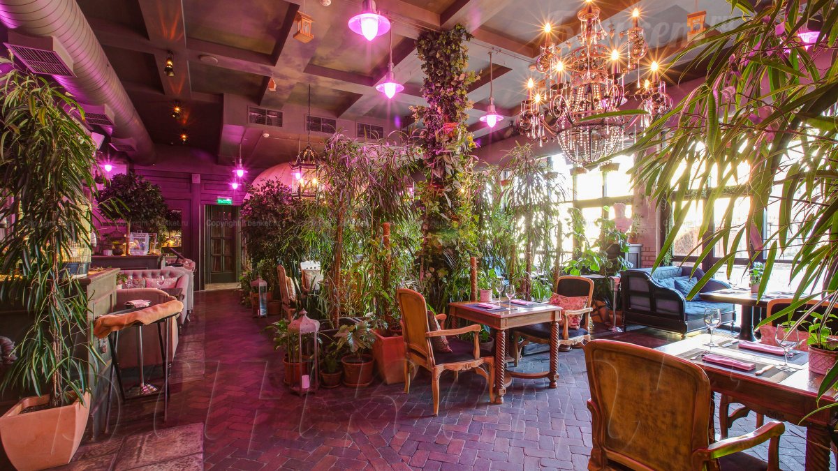 Оранжерея — The Сад