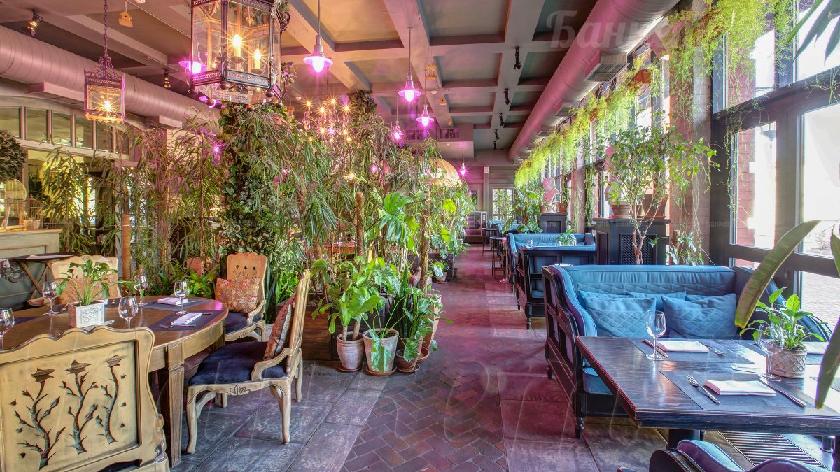 Оранжерея — The Сад