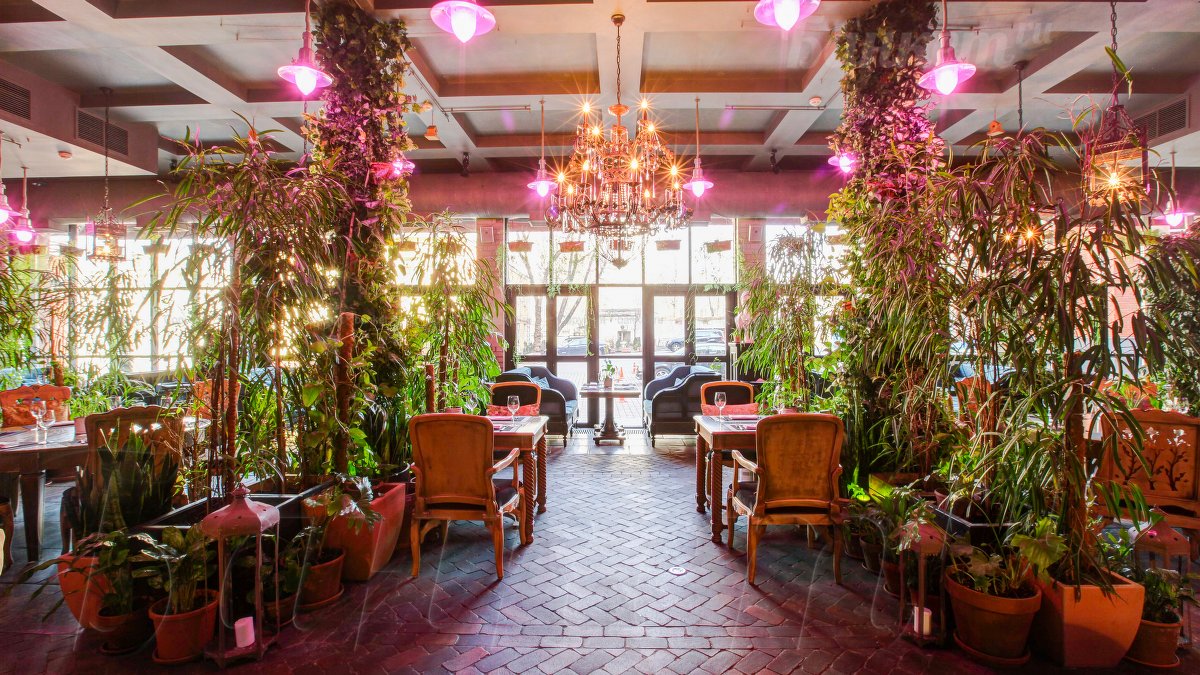 Оранжерея — фото 6