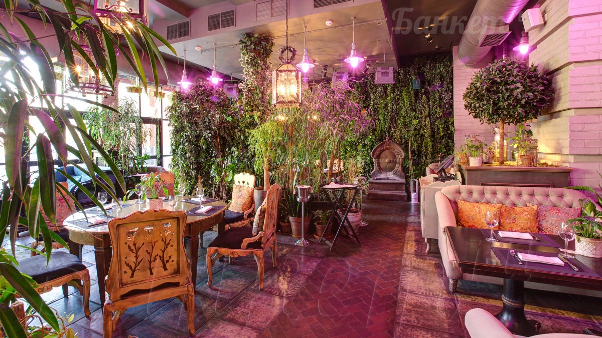 Оранжерея — фото 7