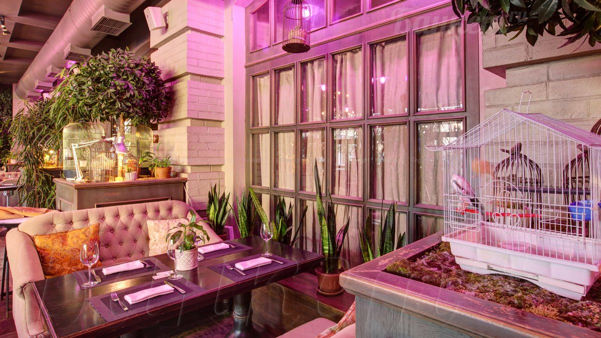 Оранжерея — фото 9