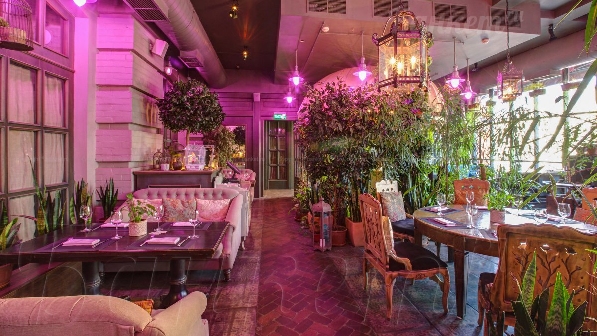 Оранжерея — фото 13