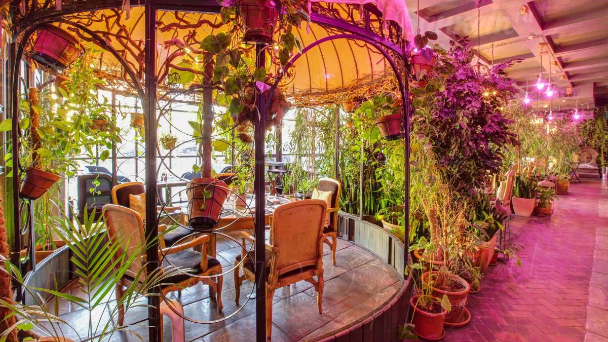 Оранжерея — фото 14