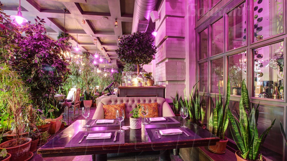 Оранжерея — фото 15