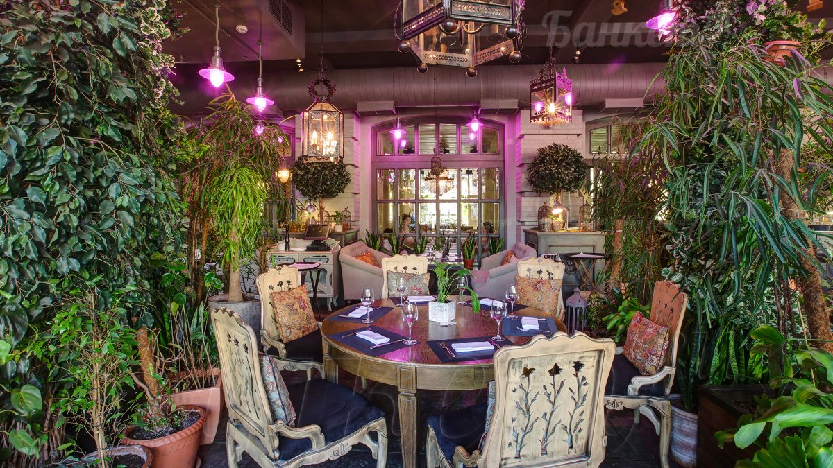 Оранжерея — фото 16