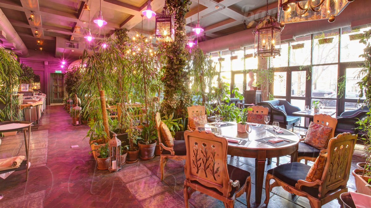 Оранжерея — фото 17