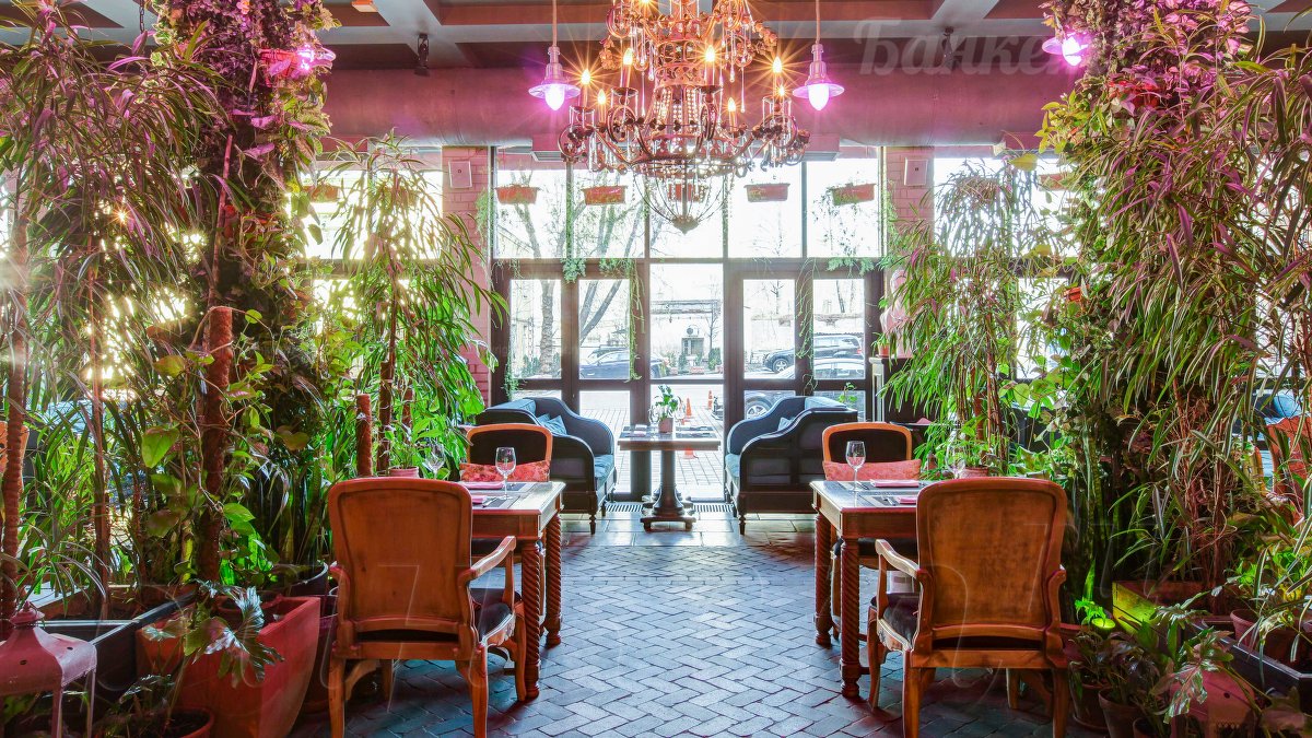 Оранжерея — фото 19