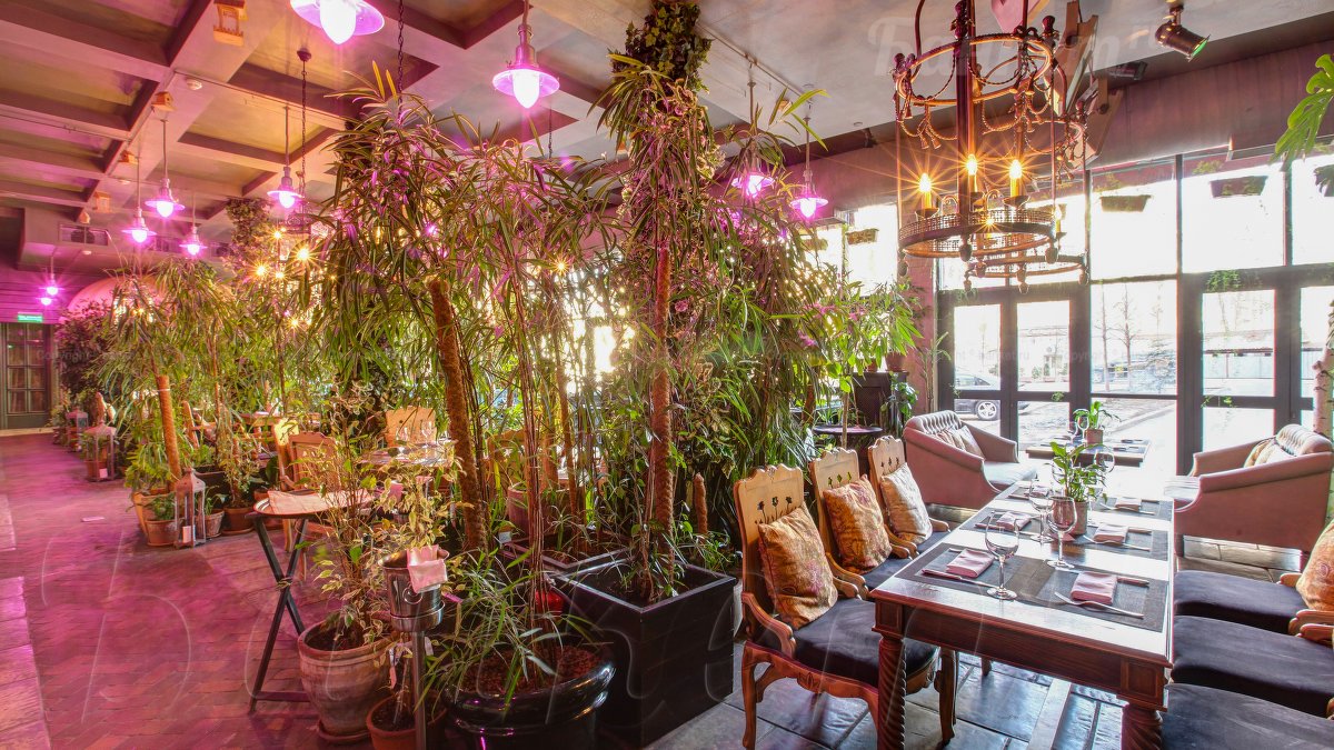 Оранжерея — фото 20