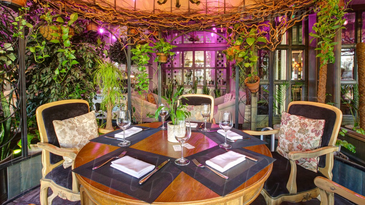 Оранжерея — фото 21