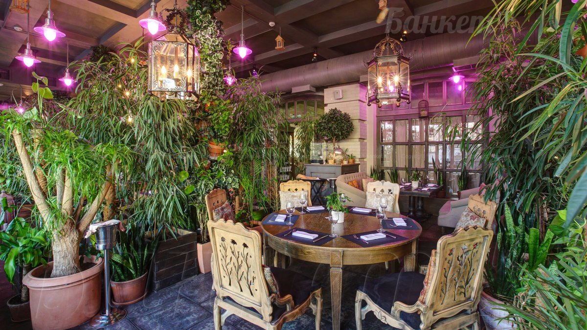 Оранжерея — фото 26