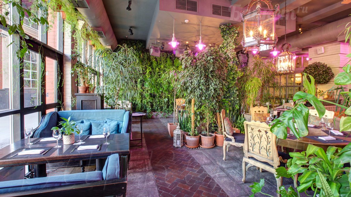 Оранжерея — фото 28