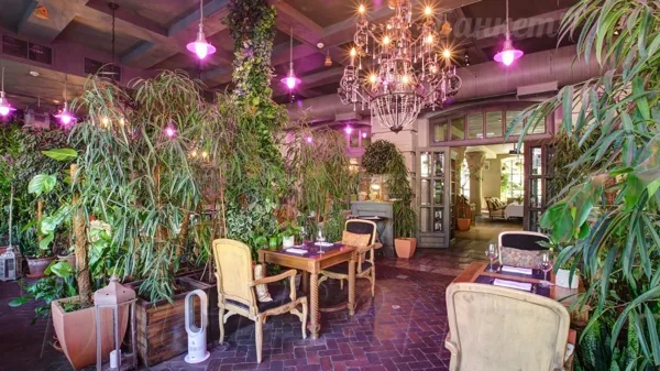 Оранжерея — подробнее о зале