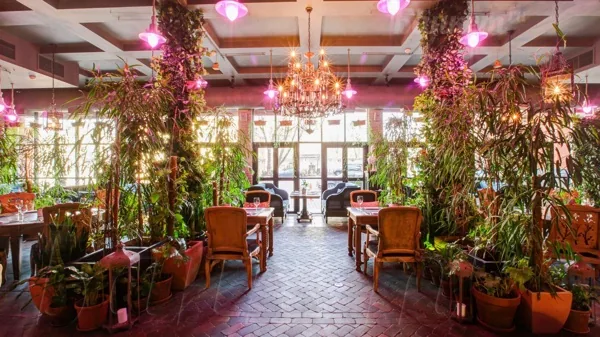 Оранжерея — фото 6