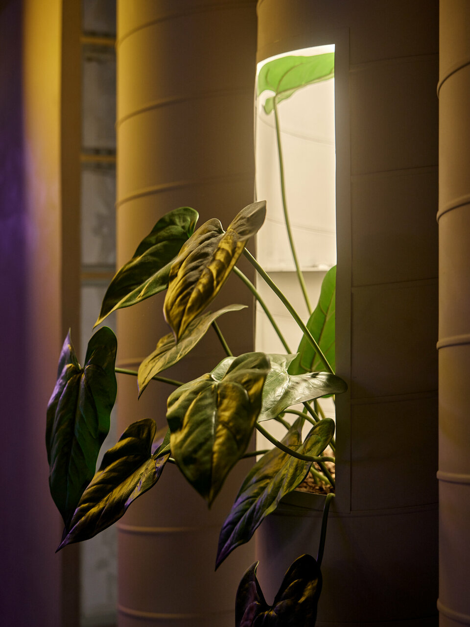 Зал — Plata Lounge & Gastro bar