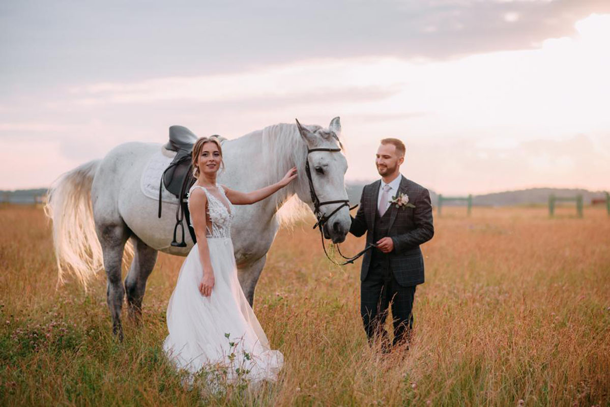 Территория — фото 37