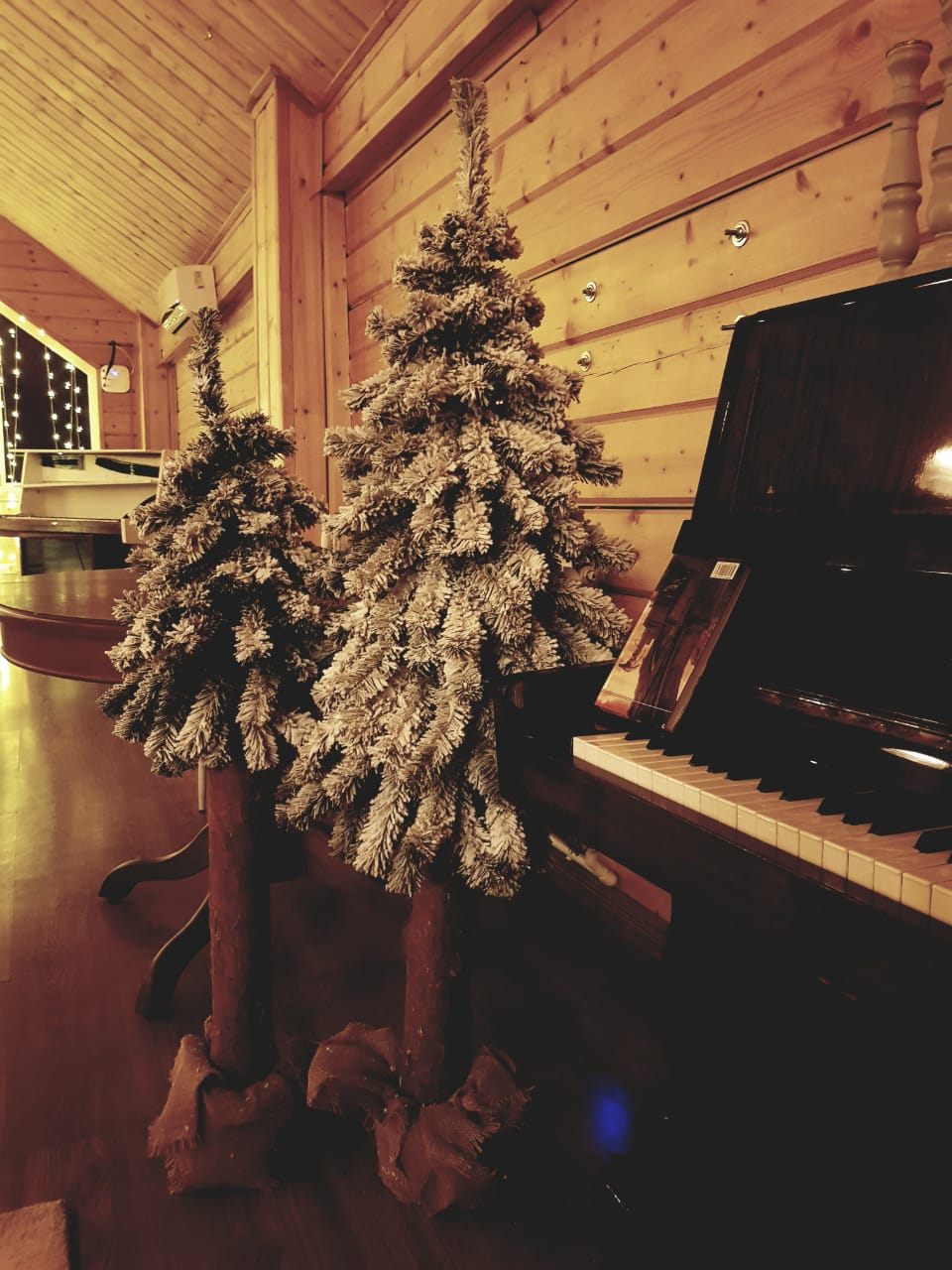 Ресторан Русич — фото 11