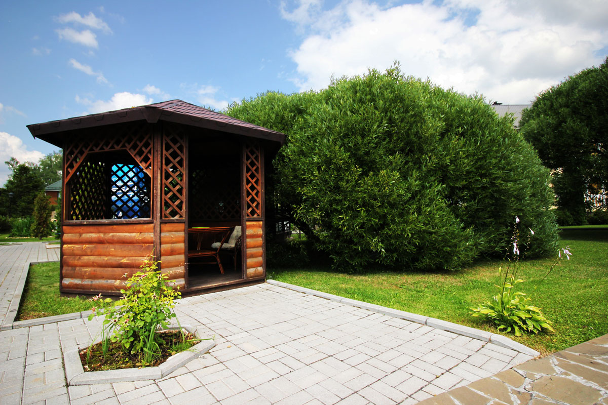 Территория — фото 13