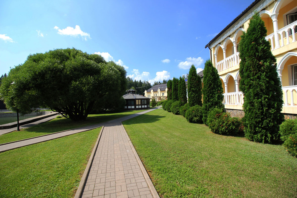 Территория — фото 17