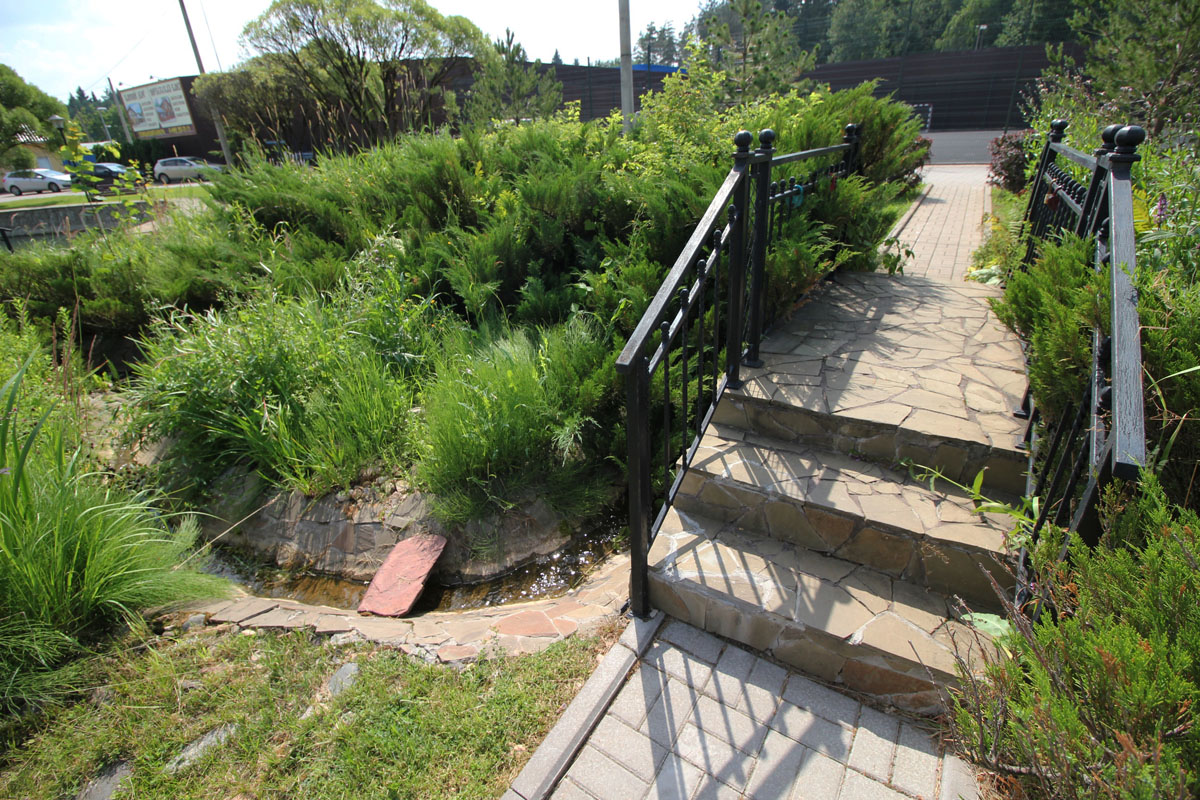 Территория — фото 19