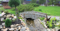 Территория — фото 4