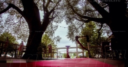 Шатер на кругу