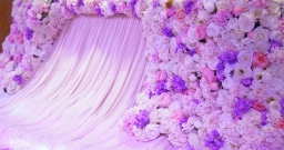 Императорский зал — подробнее о зале