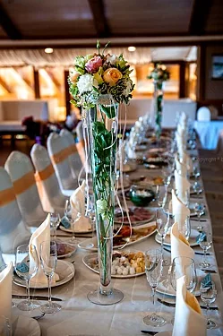 Банкетный зал — Welna Eco Spa Resort , Москва