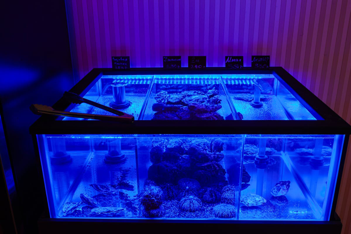 Русский зал — фото 30