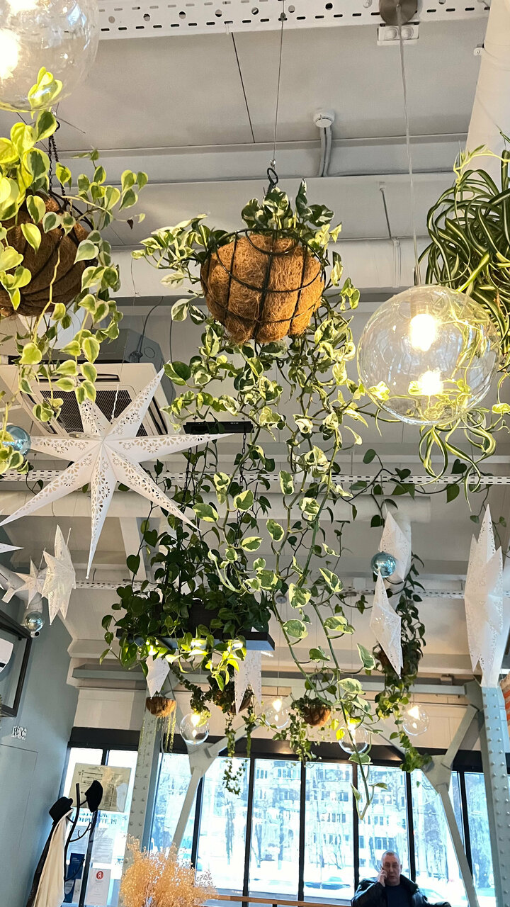 Зал — Merchants’ cafe