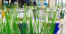 Панорама — фото 4