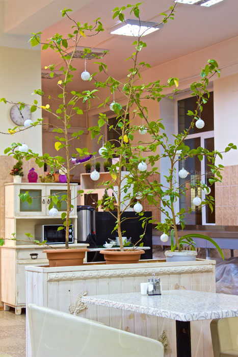 French Bistro / Френч Бистро ( м. ул.1905 года) — фото 7