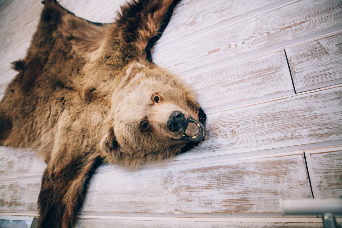 Основной зал — фото 36