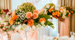 Зал Страдивари — подробнее о зале