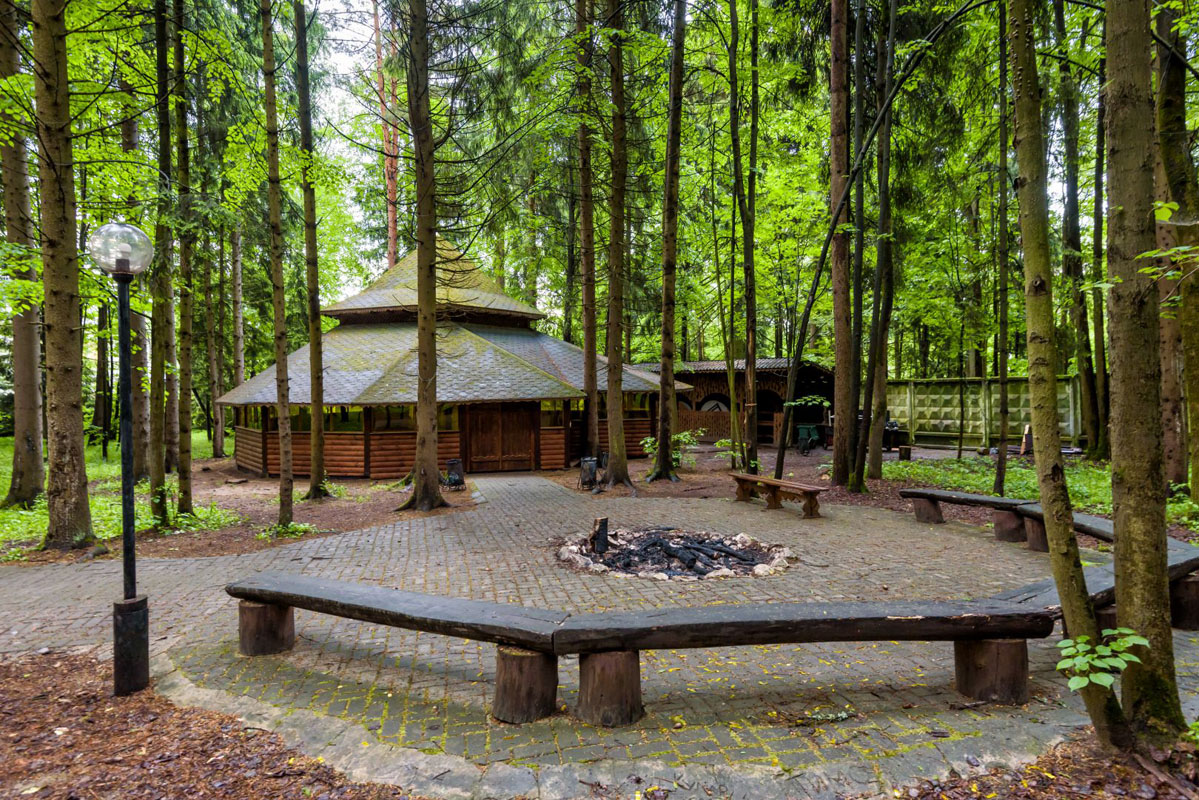 Беседка Корпоративная — фото 8