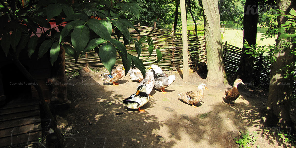 Охотничий домик Колыба — фото 7